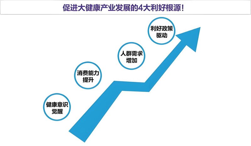 云南理想科技:技术与自然的和谐共舞